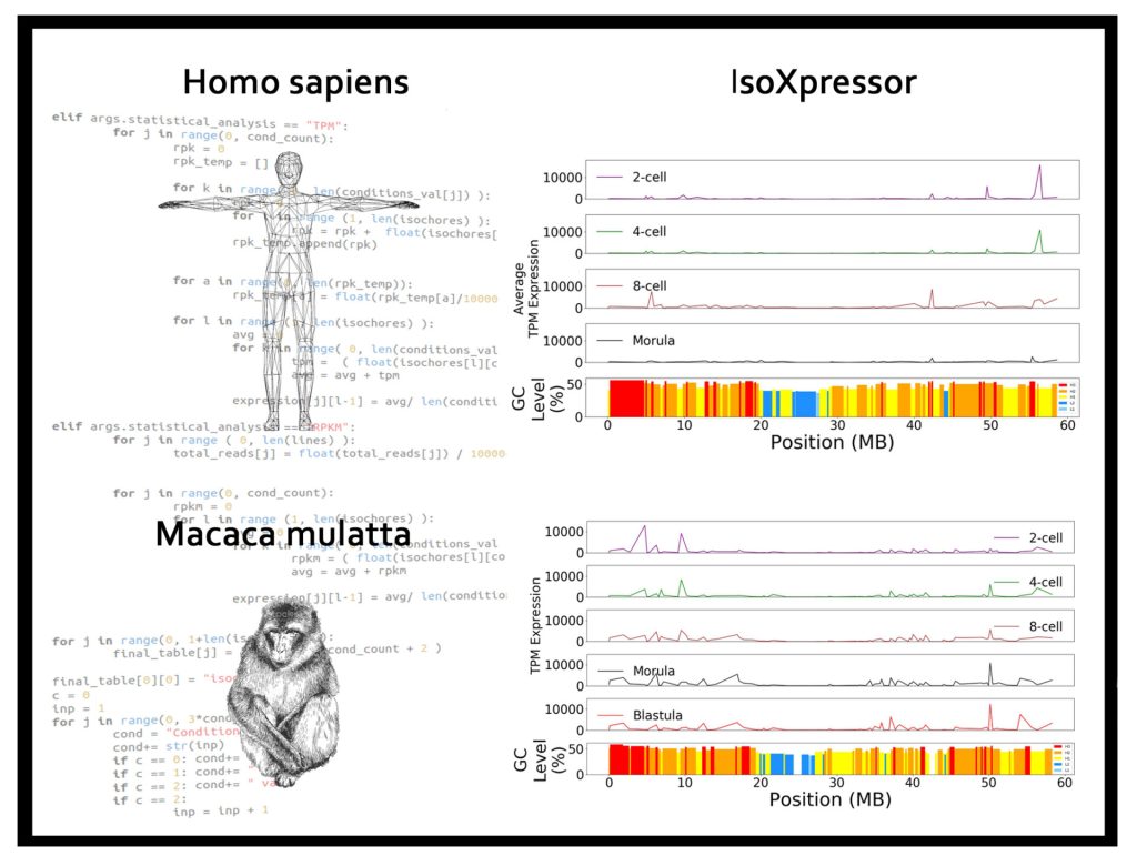 “IsoXpressor” published in Genome Biology and Evolution